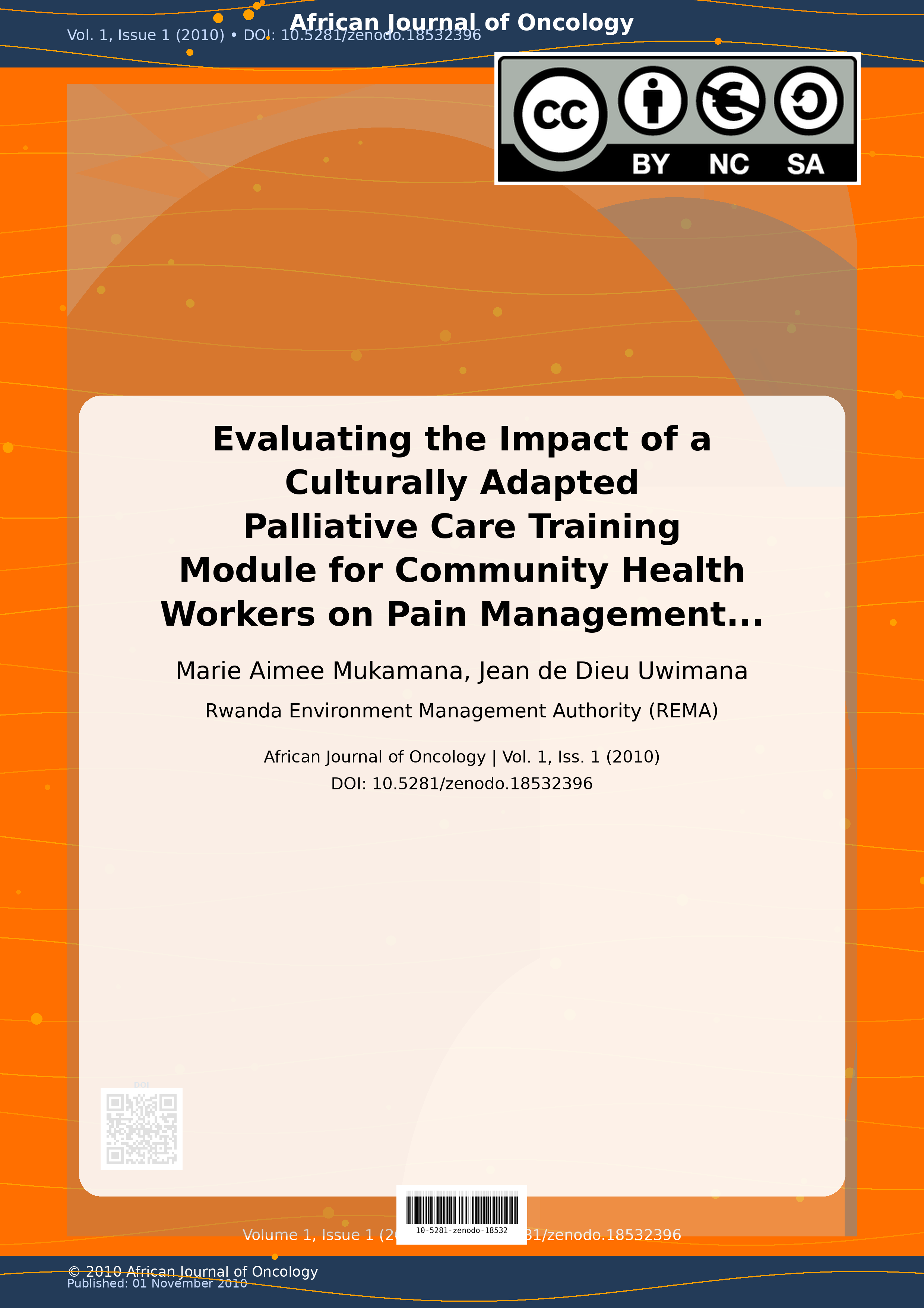 Cover image for: Evaluating the Impact of a Culturally Adapted Palliative Car