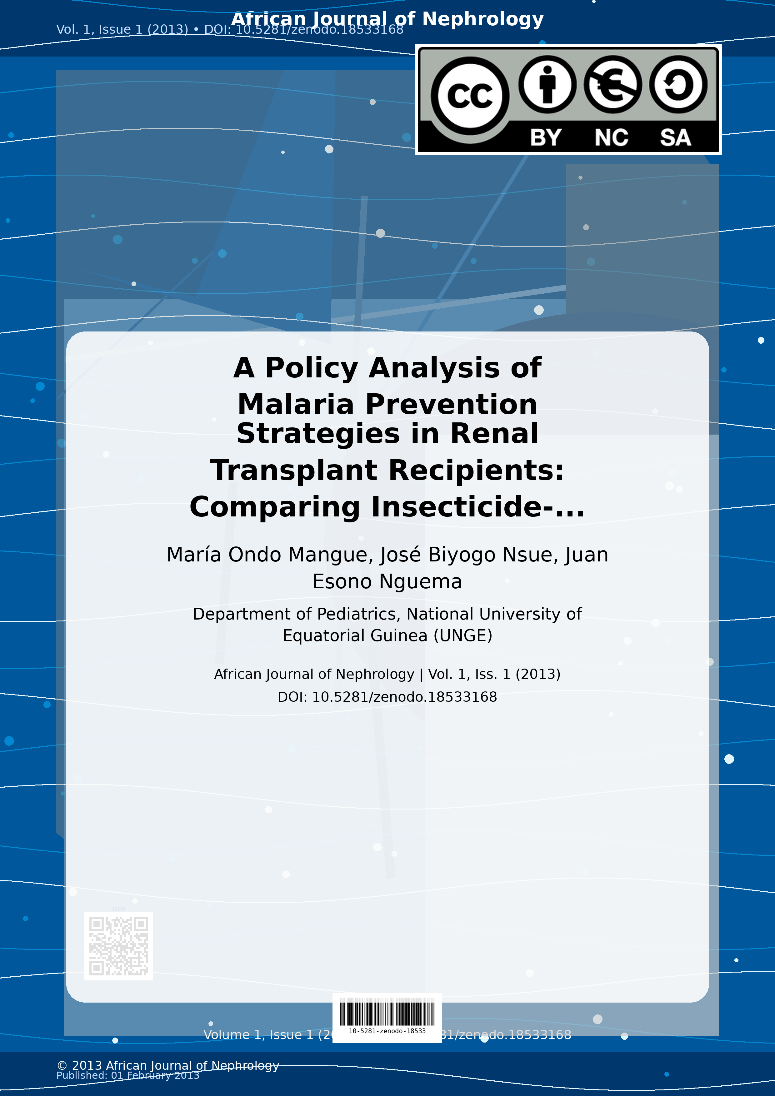 Cover image for: A Policy Analysis of Malaria Prevention Strategies in Renal 