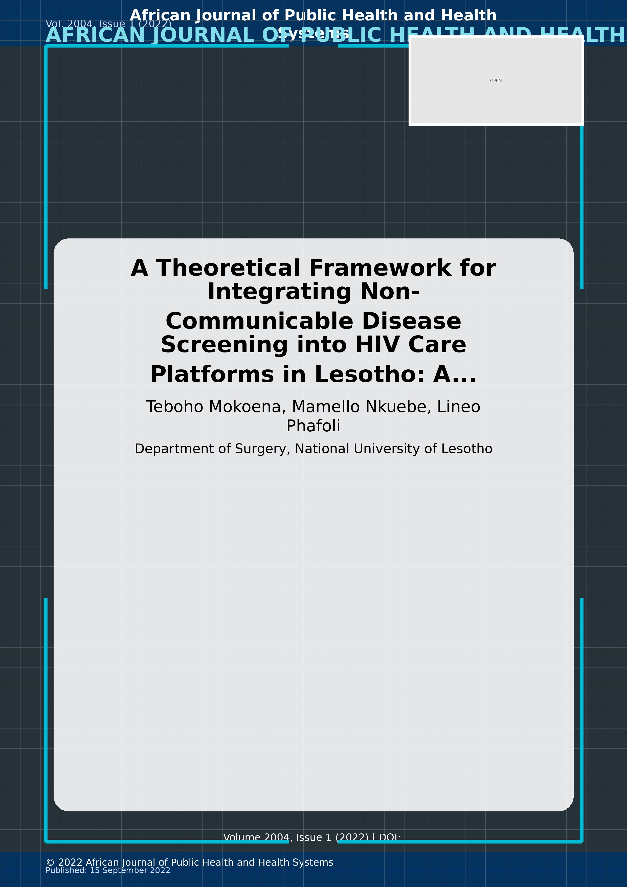 Cover image for: A Theoretical Framework for Integrating Non-Communicable Dis