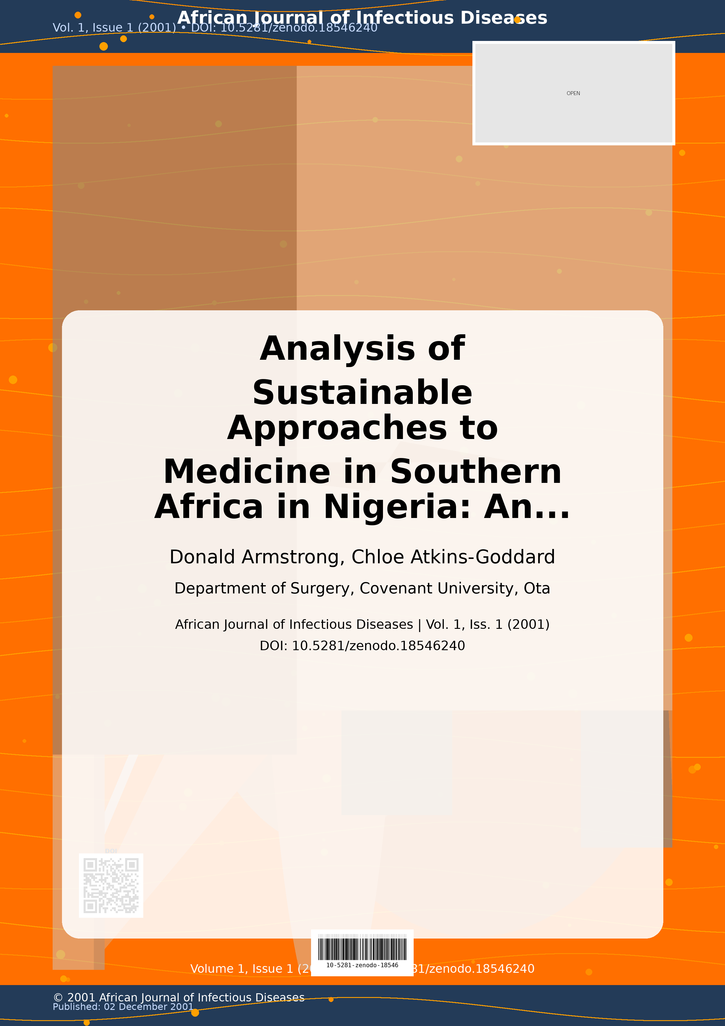 Cover image for: Analysis of Sustainable Approaches to Medicine in Southern A