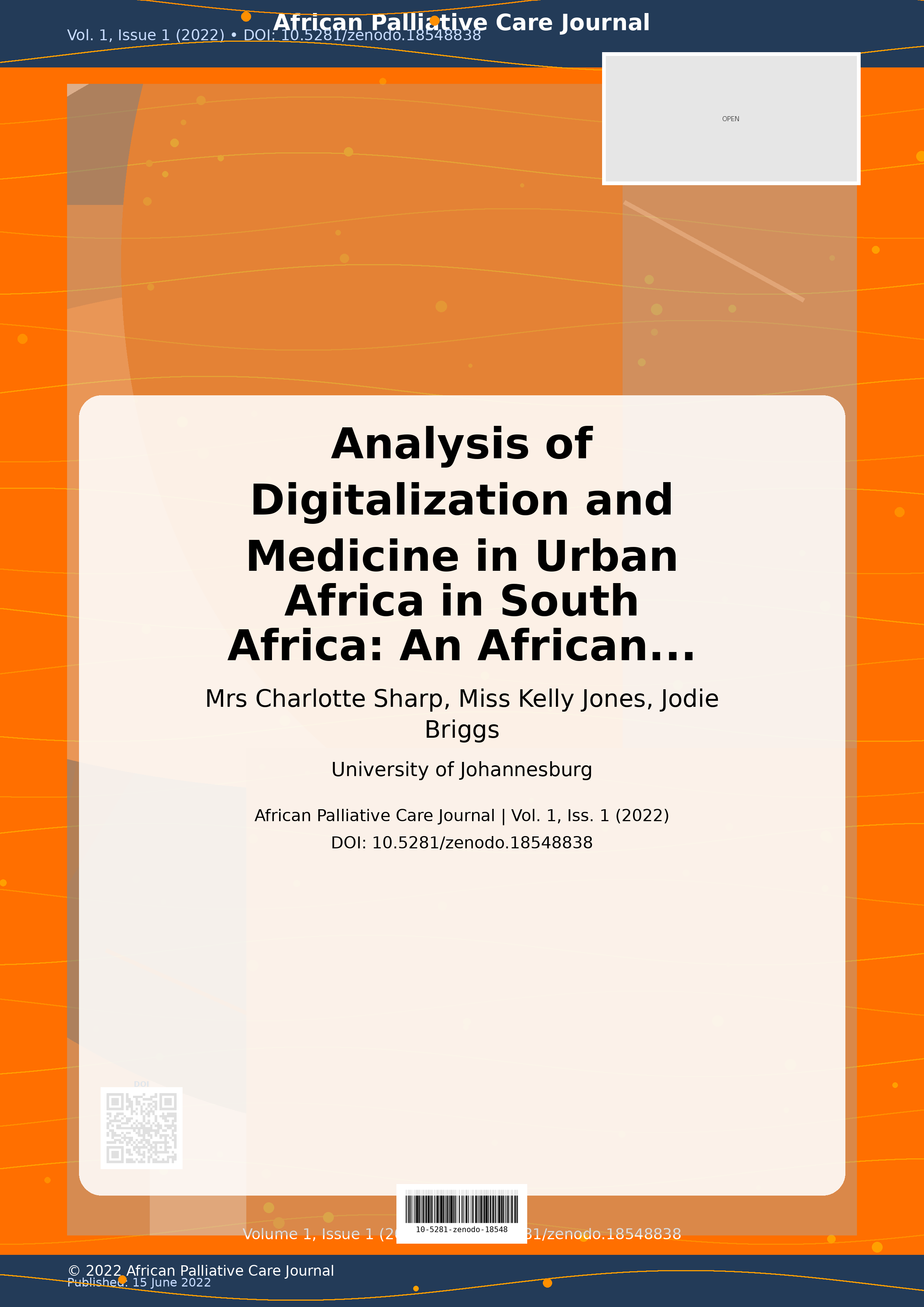 Cover image for: Analysis of Digitalization and Medicine in Urban Africa in S