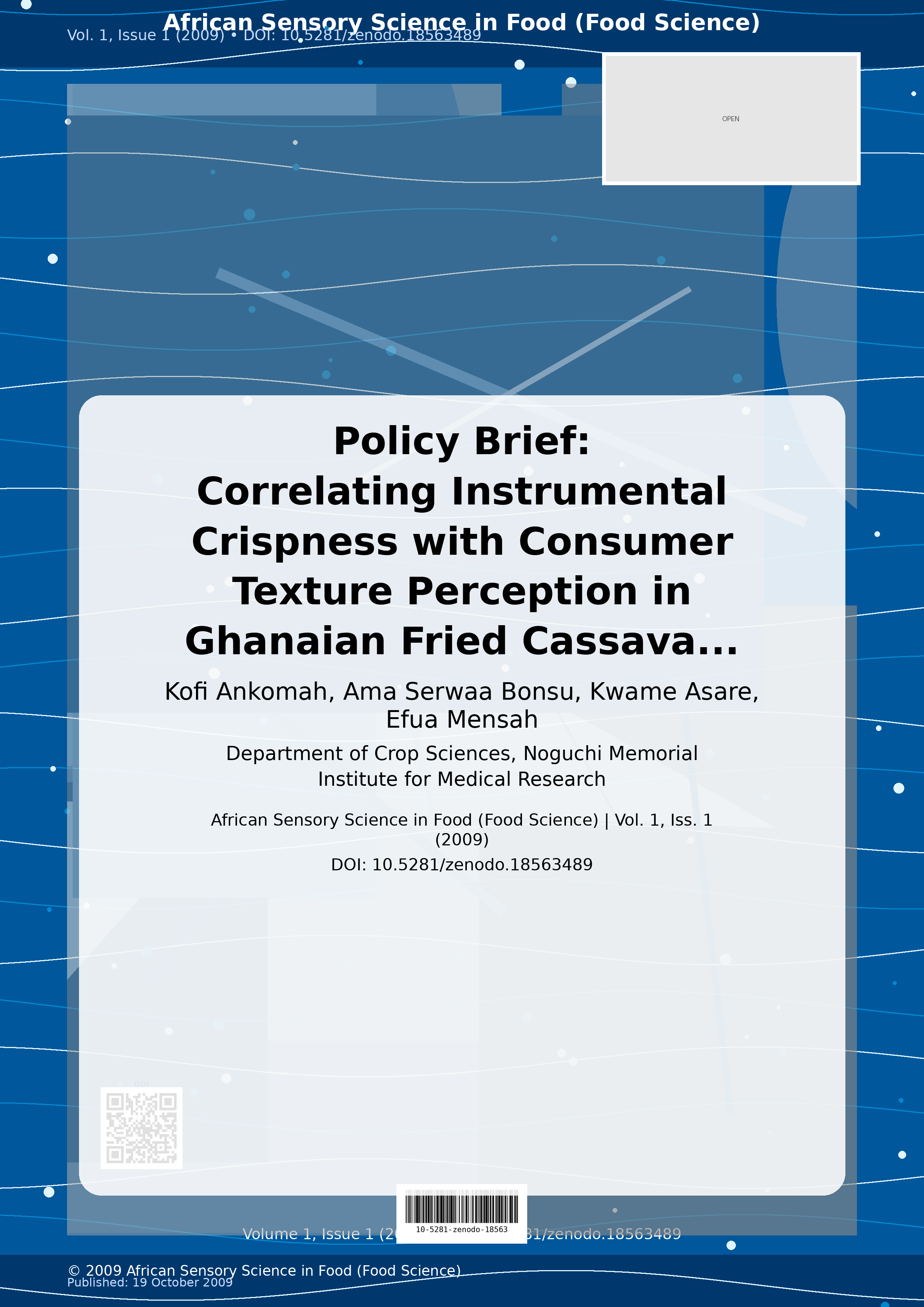Cover image for: Policy Brief
