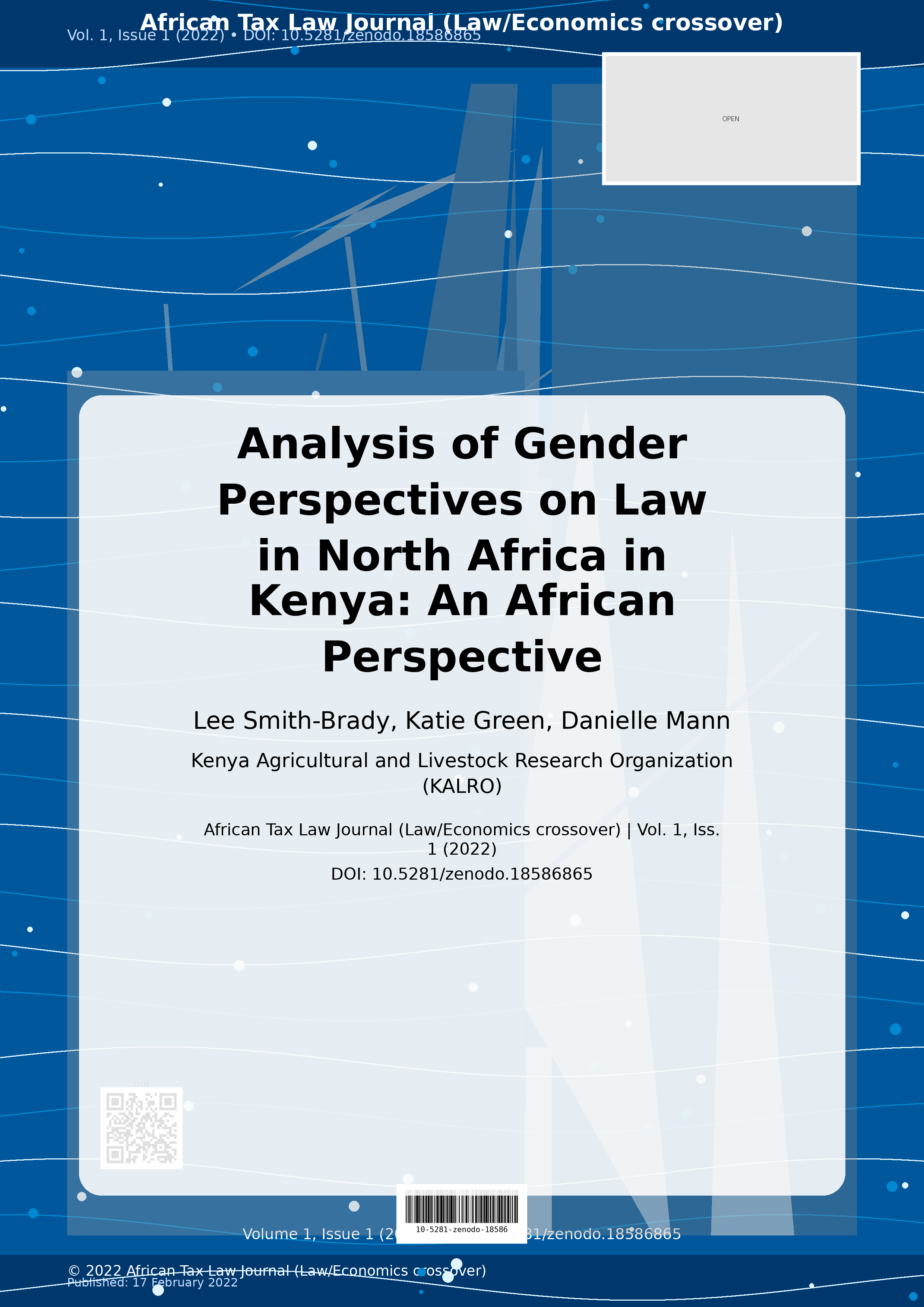 Cover image for: Analysis of Gender Perspectives on Law in North Africa in Ke