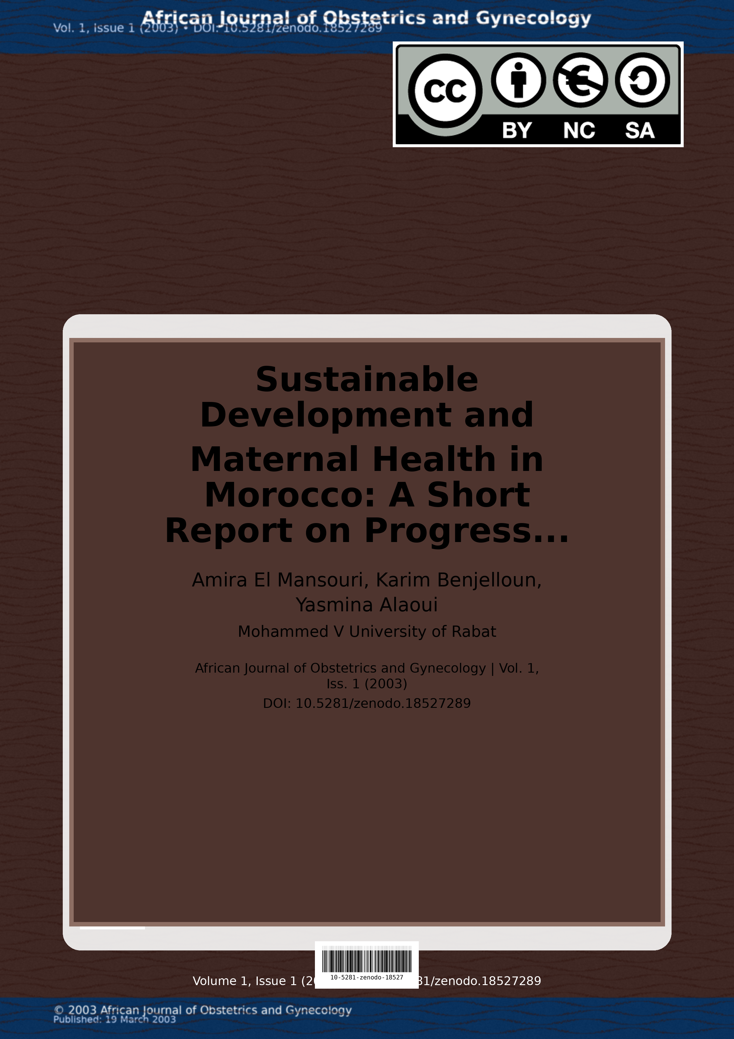 Cover image for: Sustainable Development and Maternal Health in Morocco