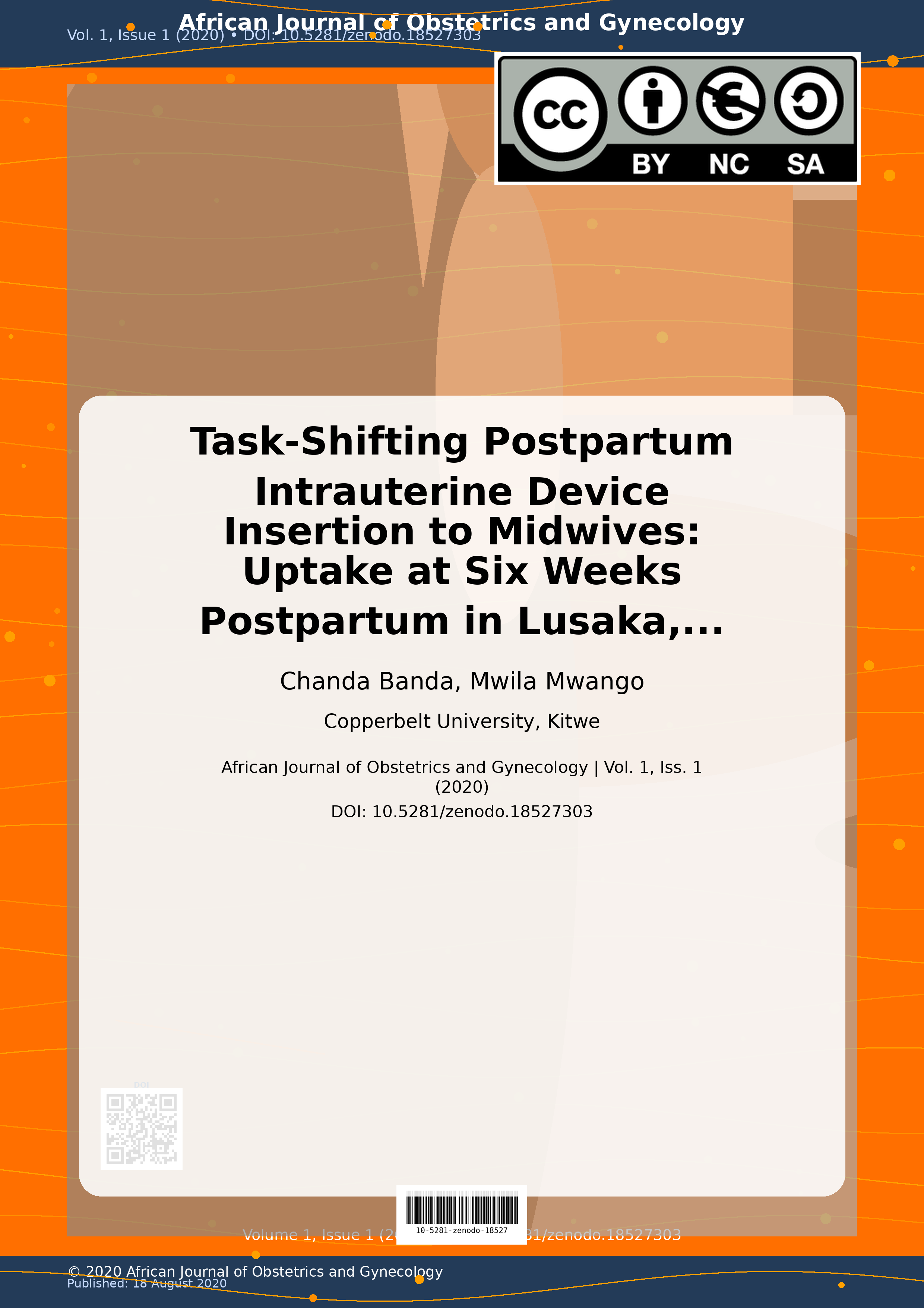 Cover image for: Task-Shifting Postpartum Intrauterine Device Insertion to Mi