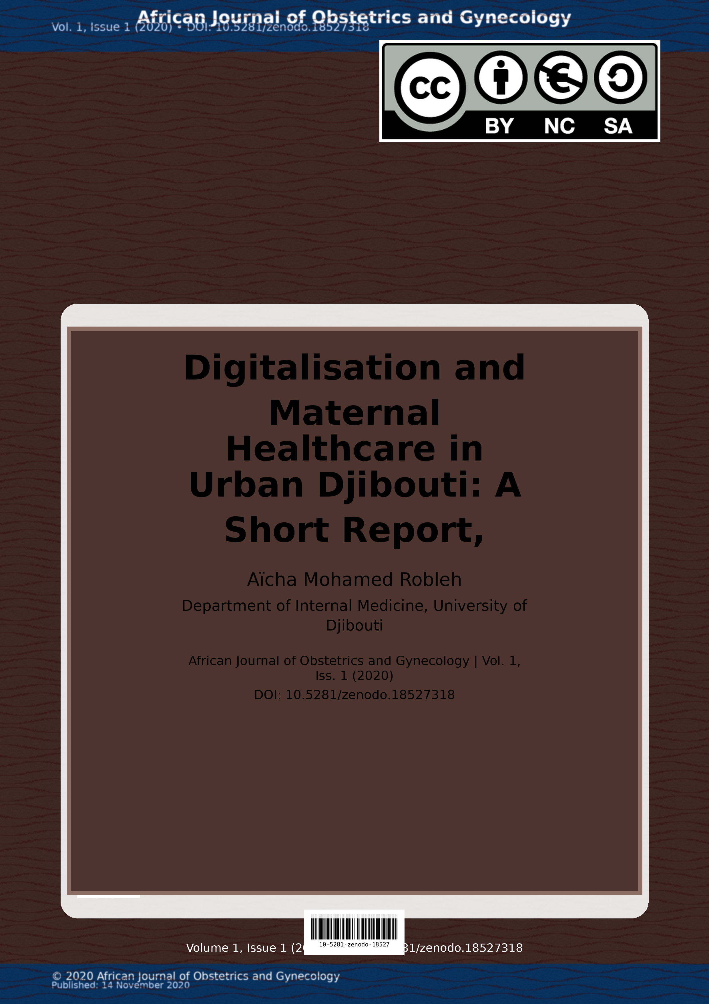 Cover image for: Digitalisation and Maternal Healthcare in Urban Djibouti