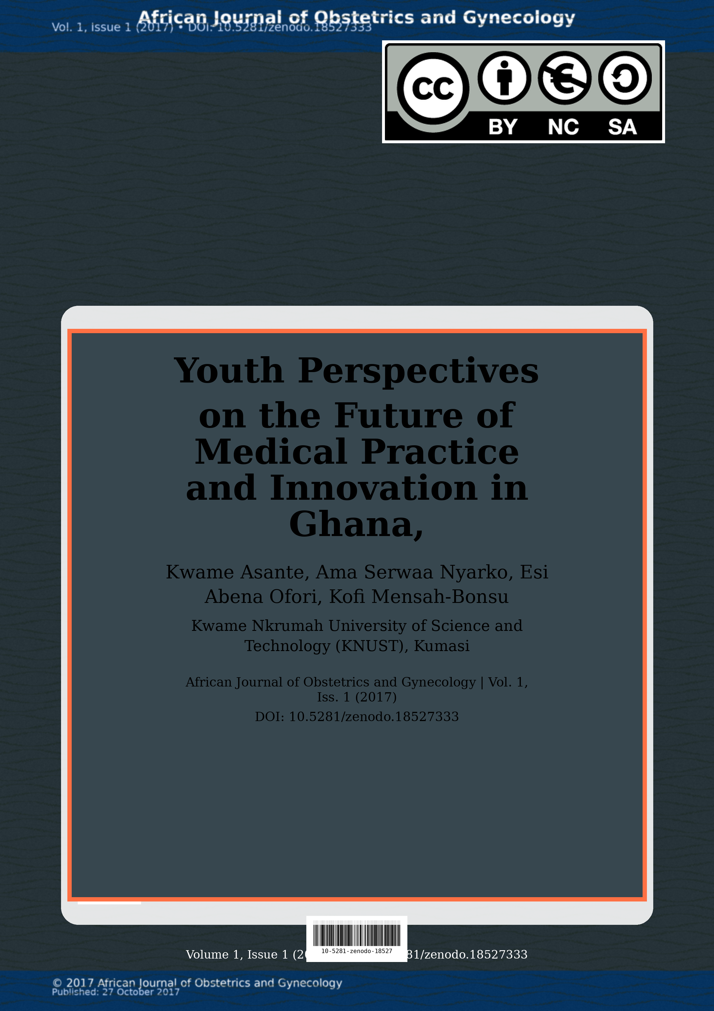 Cover image for: Youth Perspectives on the Future of Medical Practice and Inn