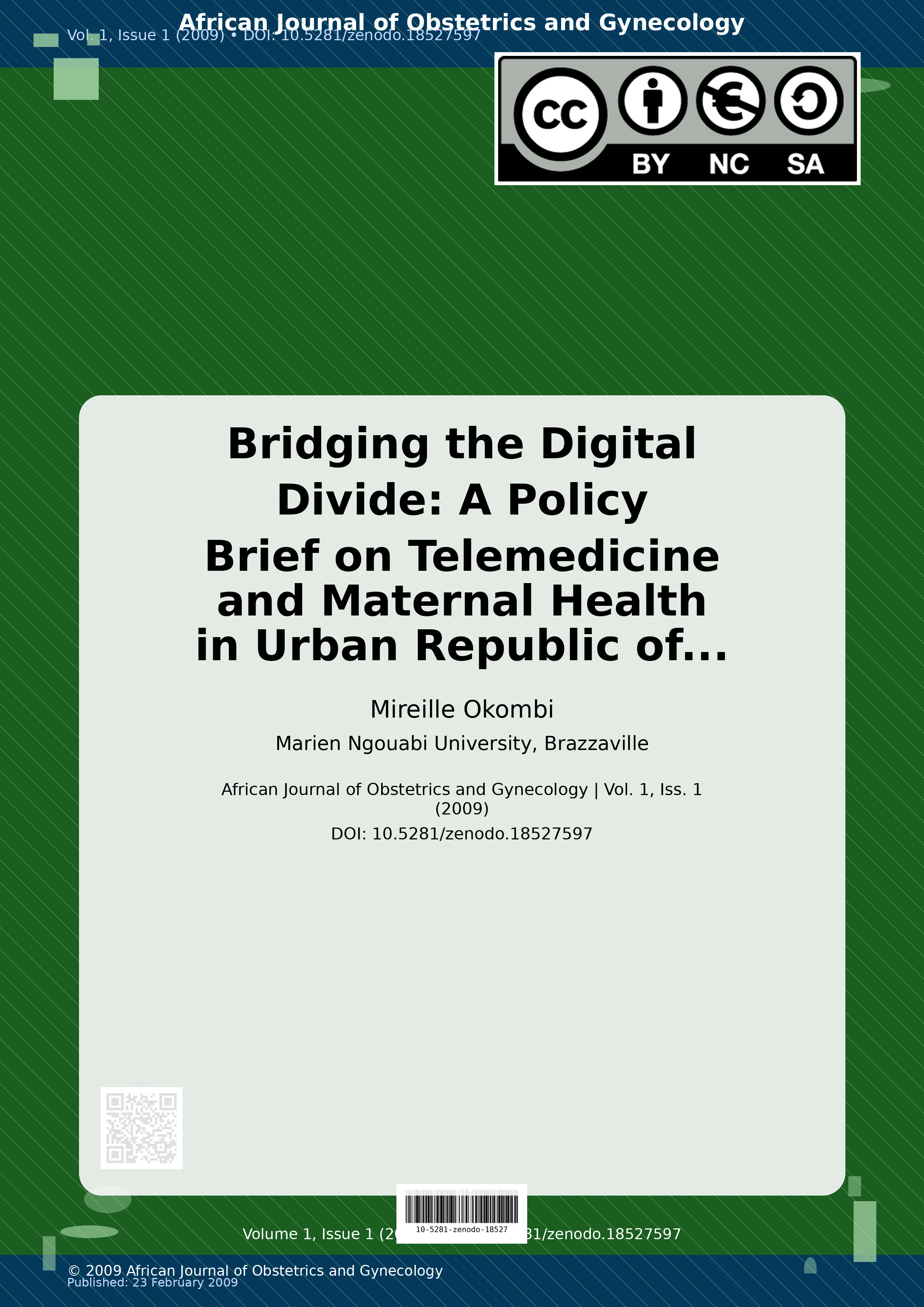 Cover image for: Bridging the Digital Divide