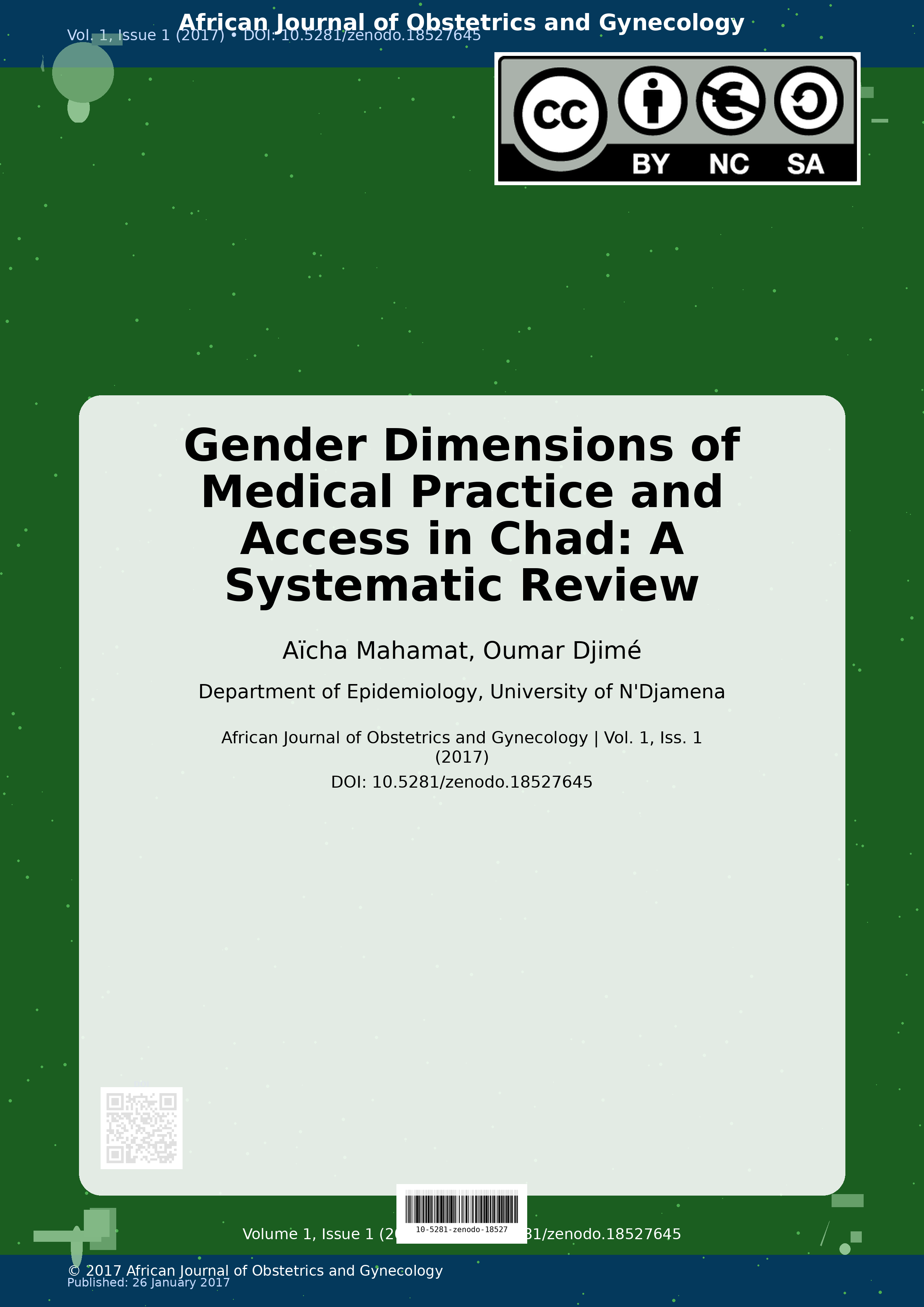 Cover image for: Gender Dimensions of Medical Practice and Access in Chad