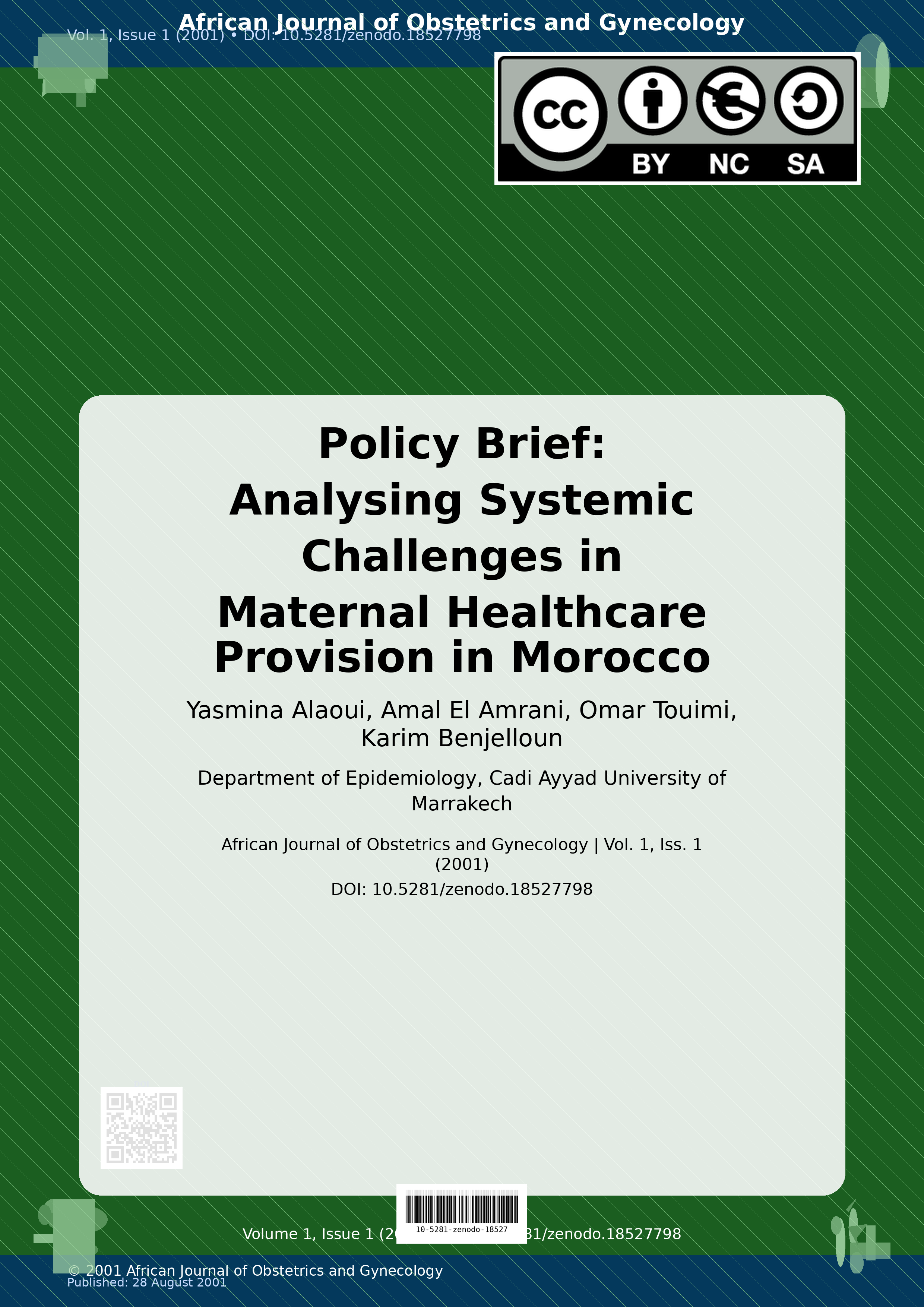 Cover image for: Policy Brief