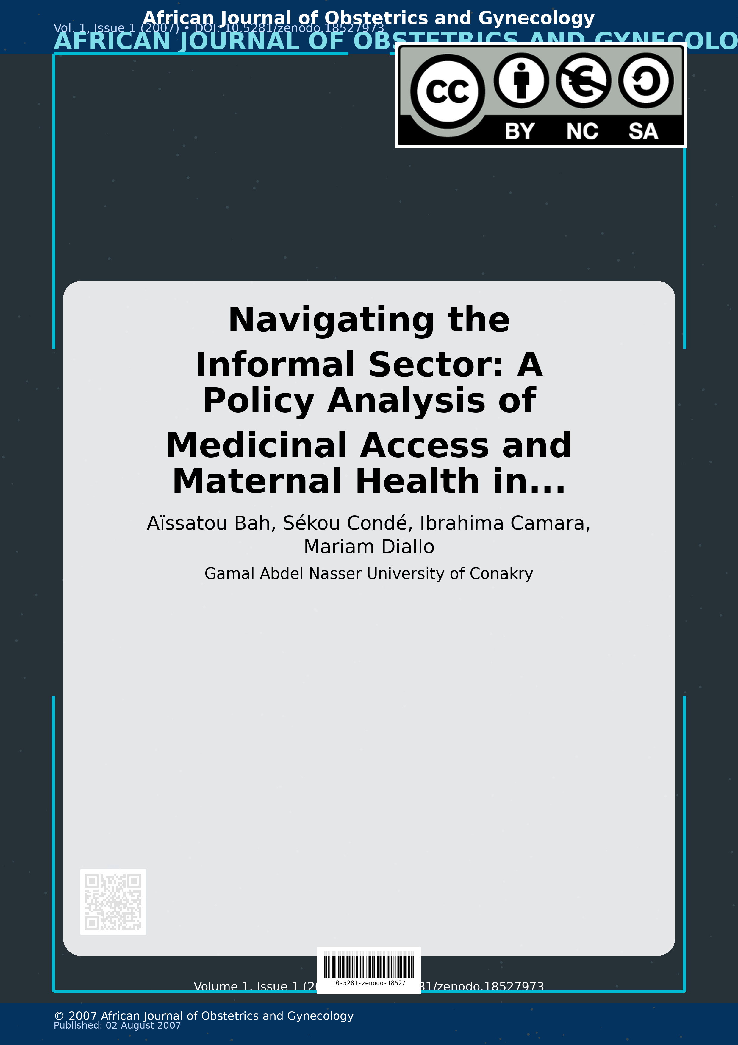 Cover image for: Navigating the Informal Sector