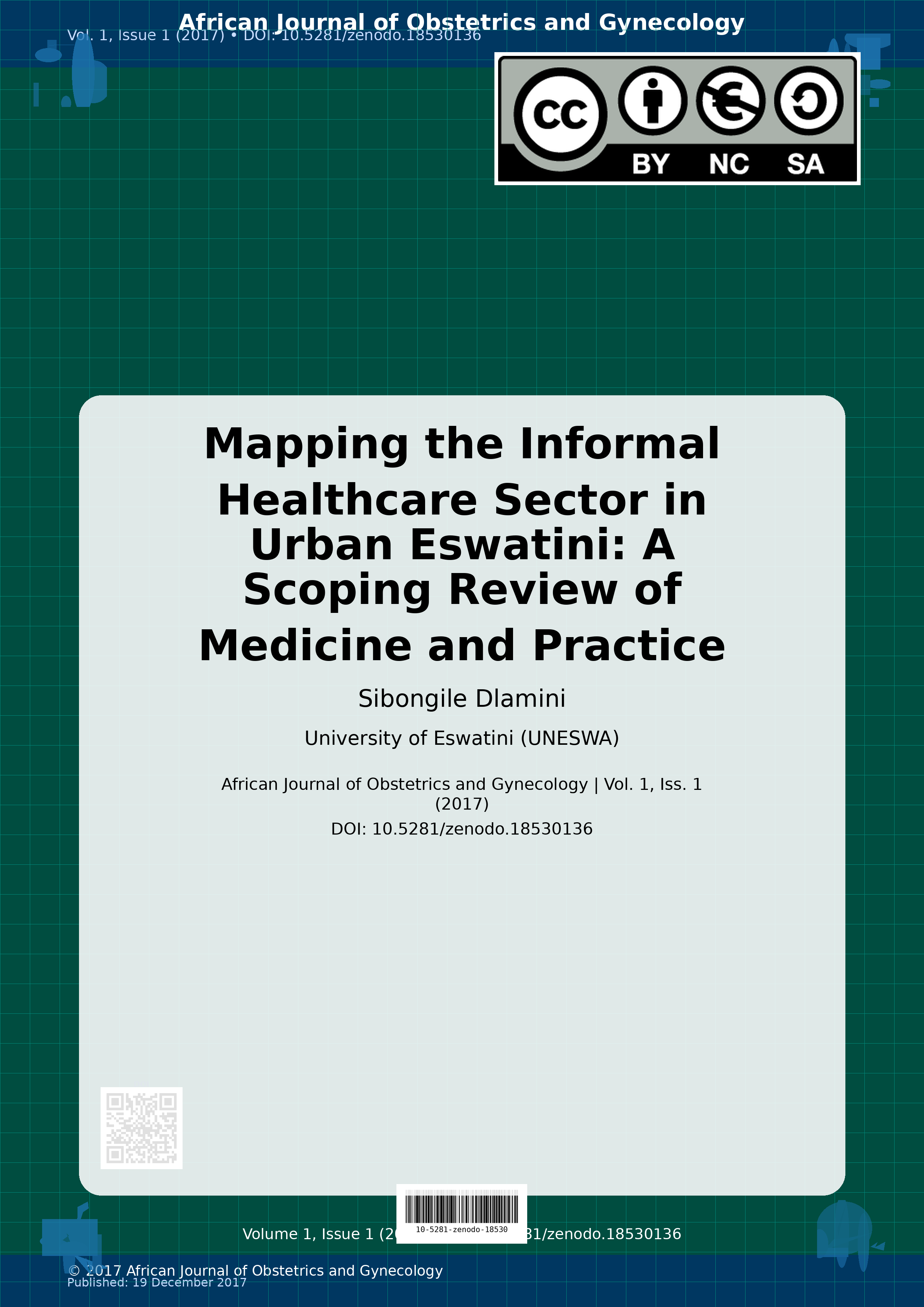 Cover image for: Mapping the Informal Healthcare Sector in Urban Eswatini