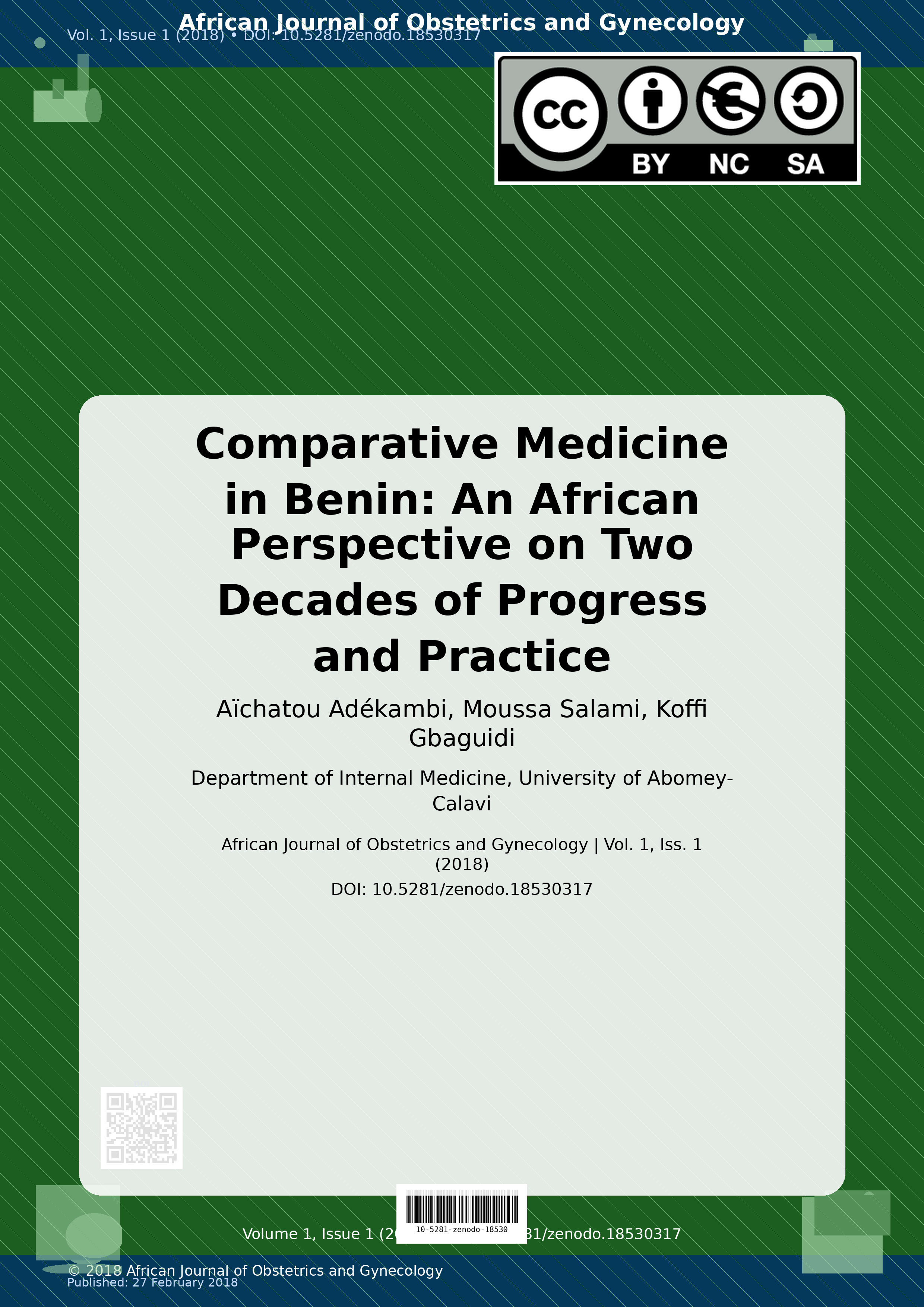 Cover image for: Comparative Medicine in Benin
