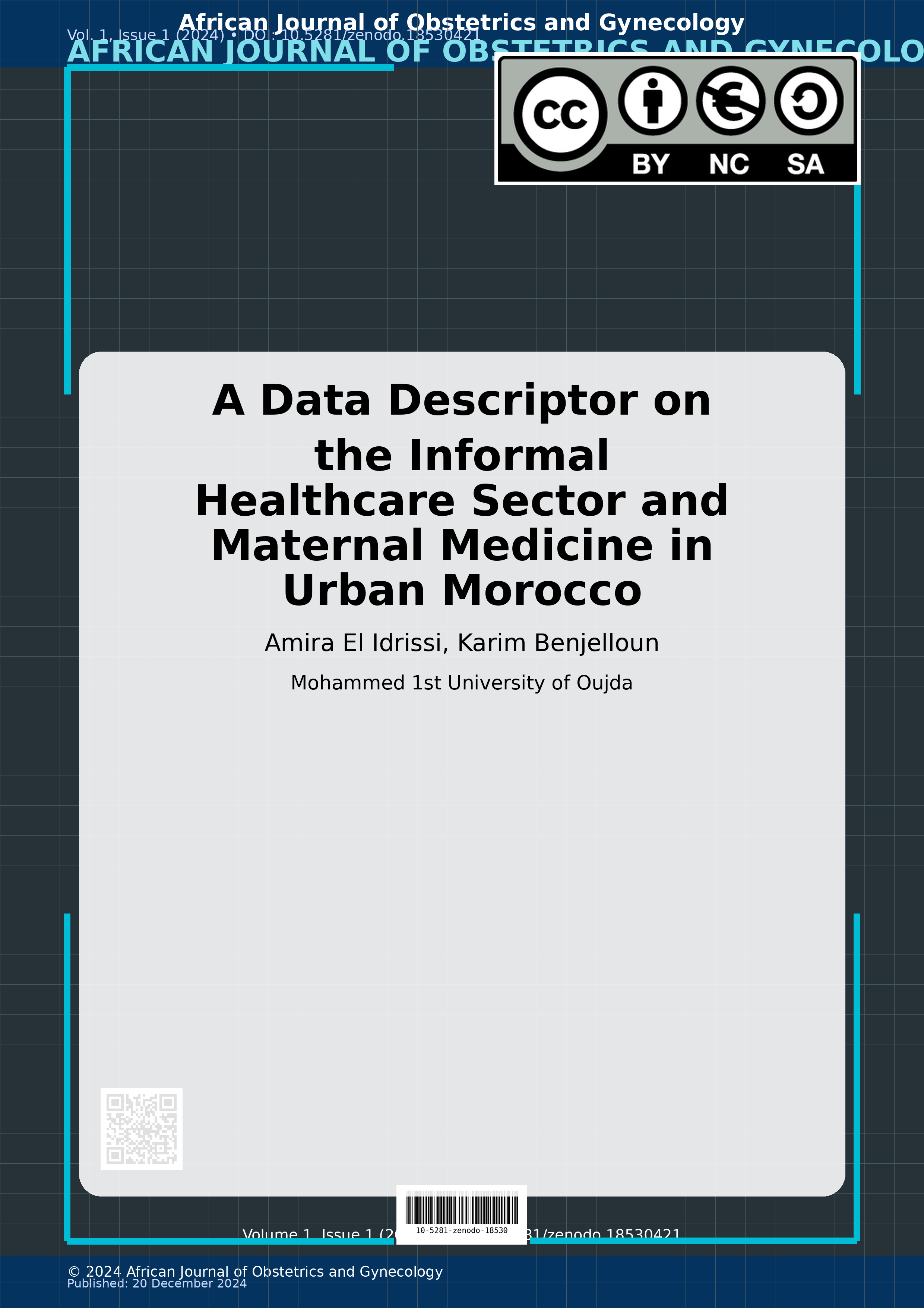 Cover image for: A Data Descriptor on the Informal Healthcare Sector and Mate