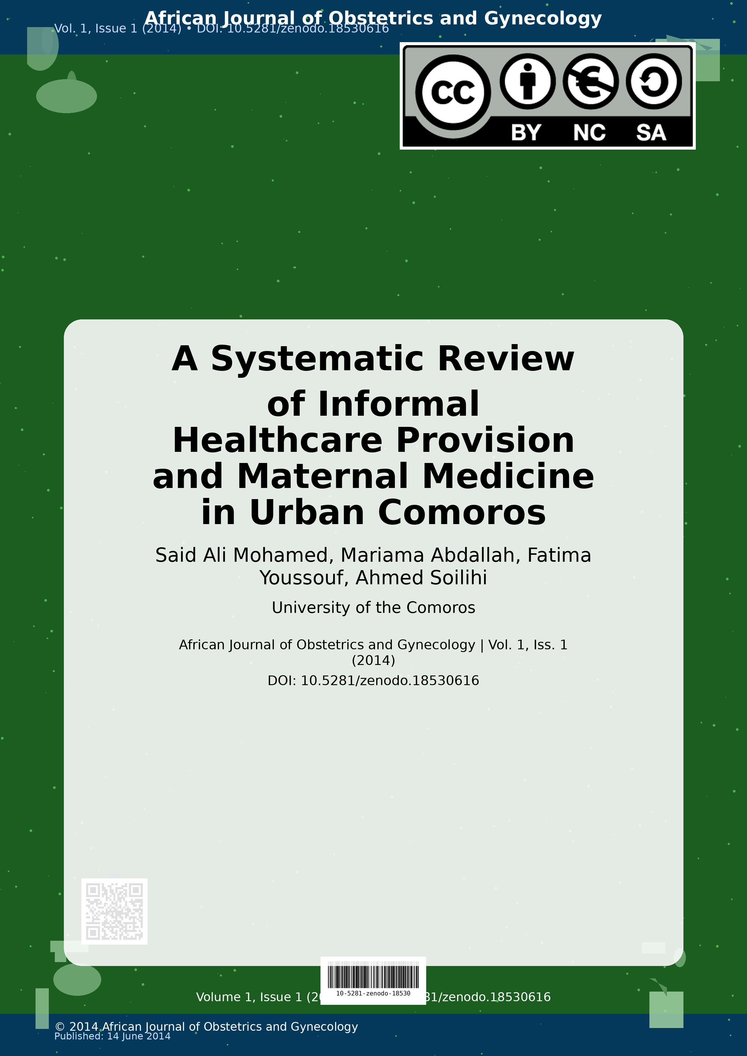 Cover image for: A Systematic Review of Informal Healthcare Provision and Mat