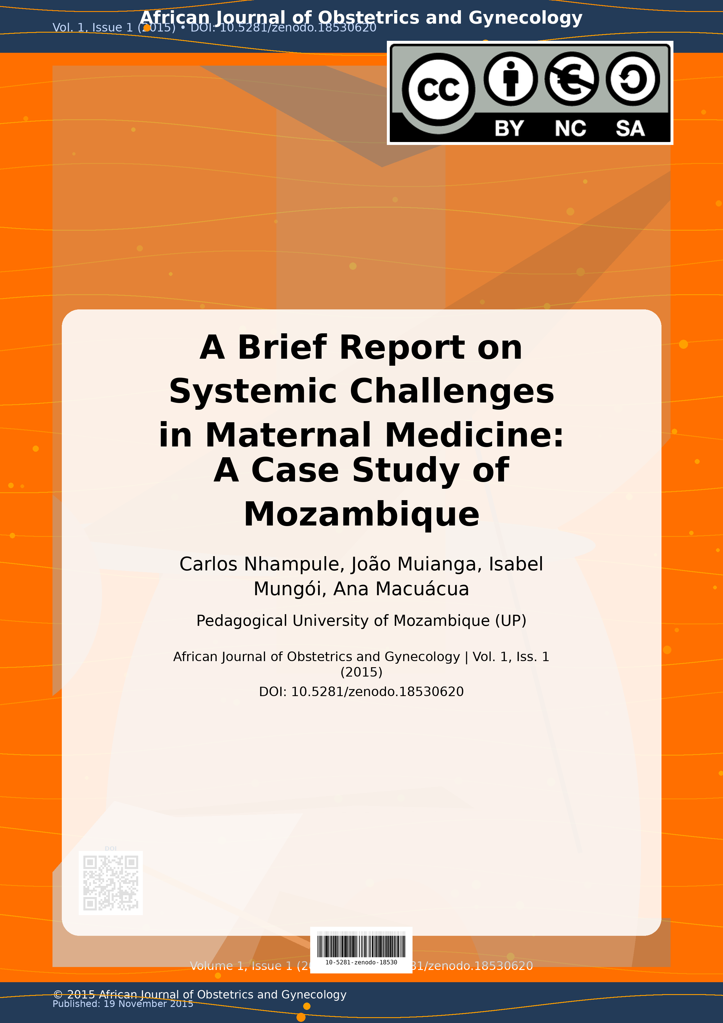 Cover image for: A Brief Report on Systemic Challenges in Maternal Medicine