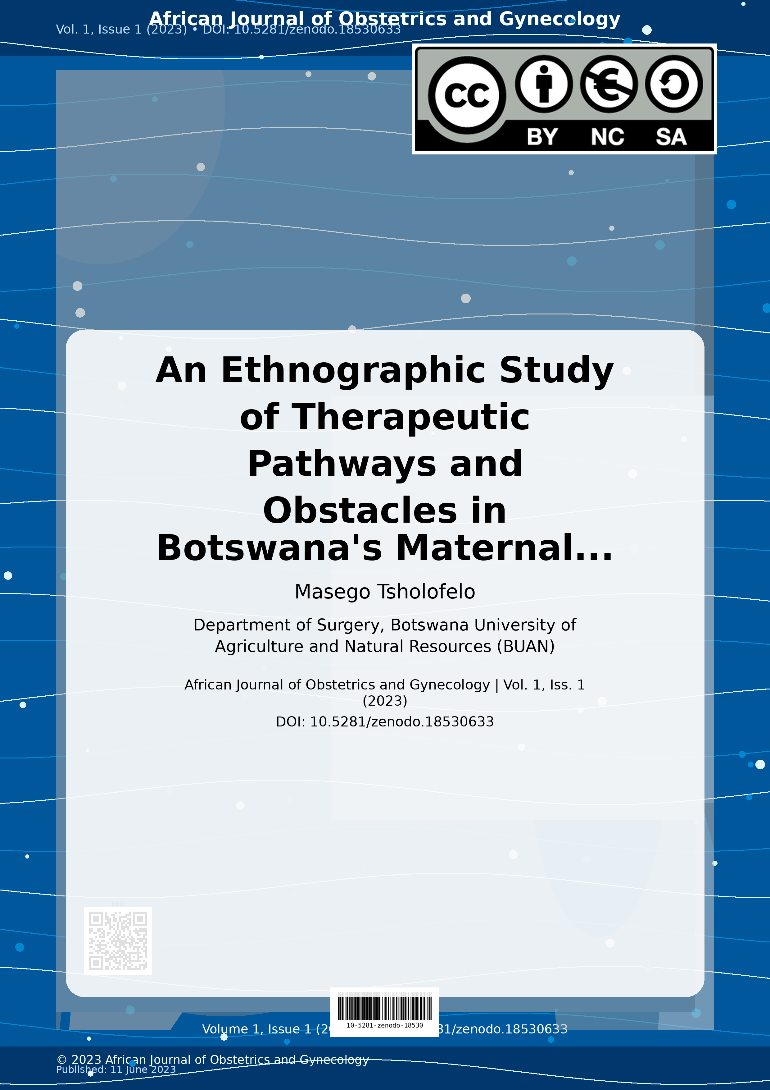 Cover image for: An Ethnographic Study of Therapeutic Pathways and Obstacles 