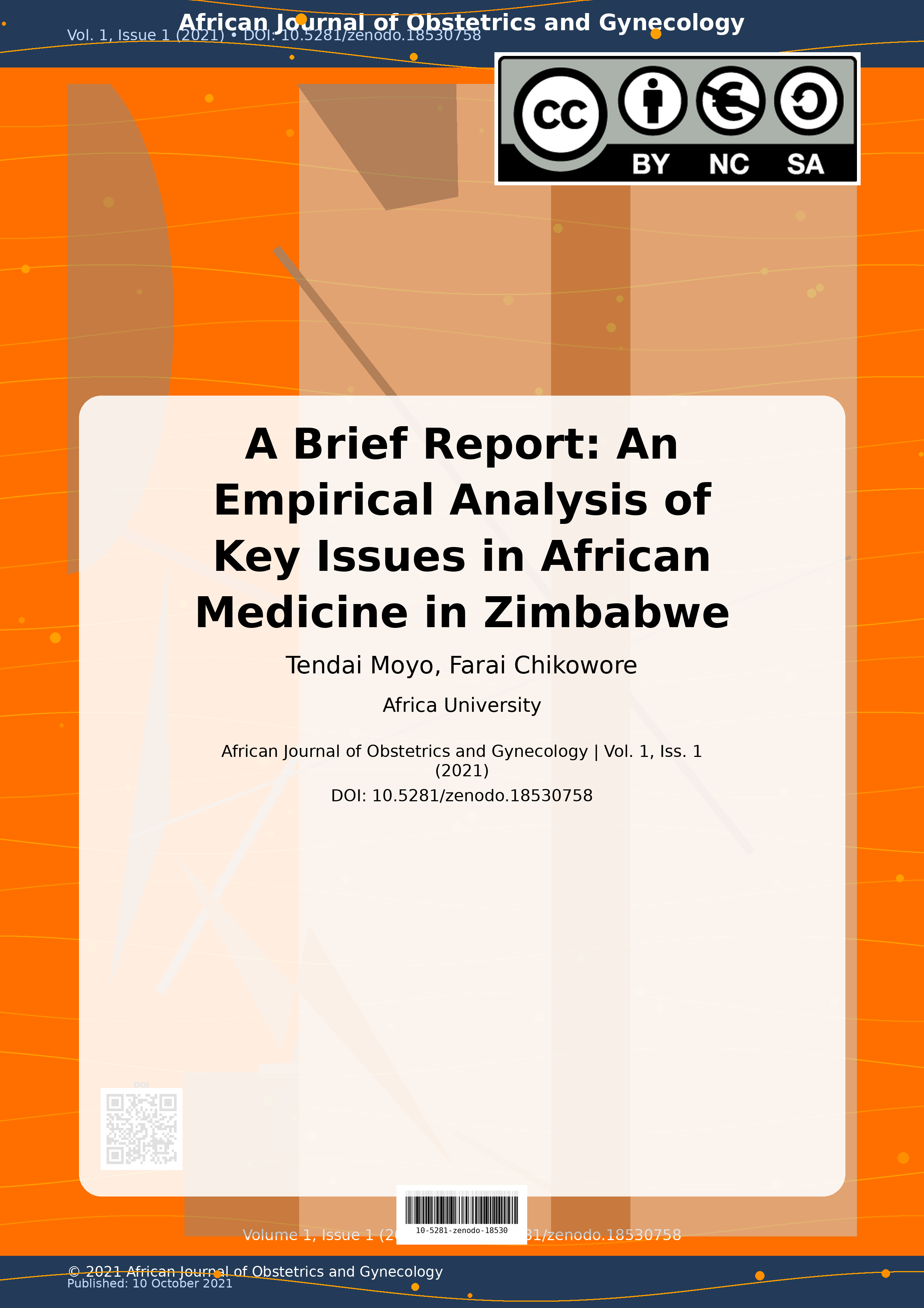Cover image for: A Brief Report