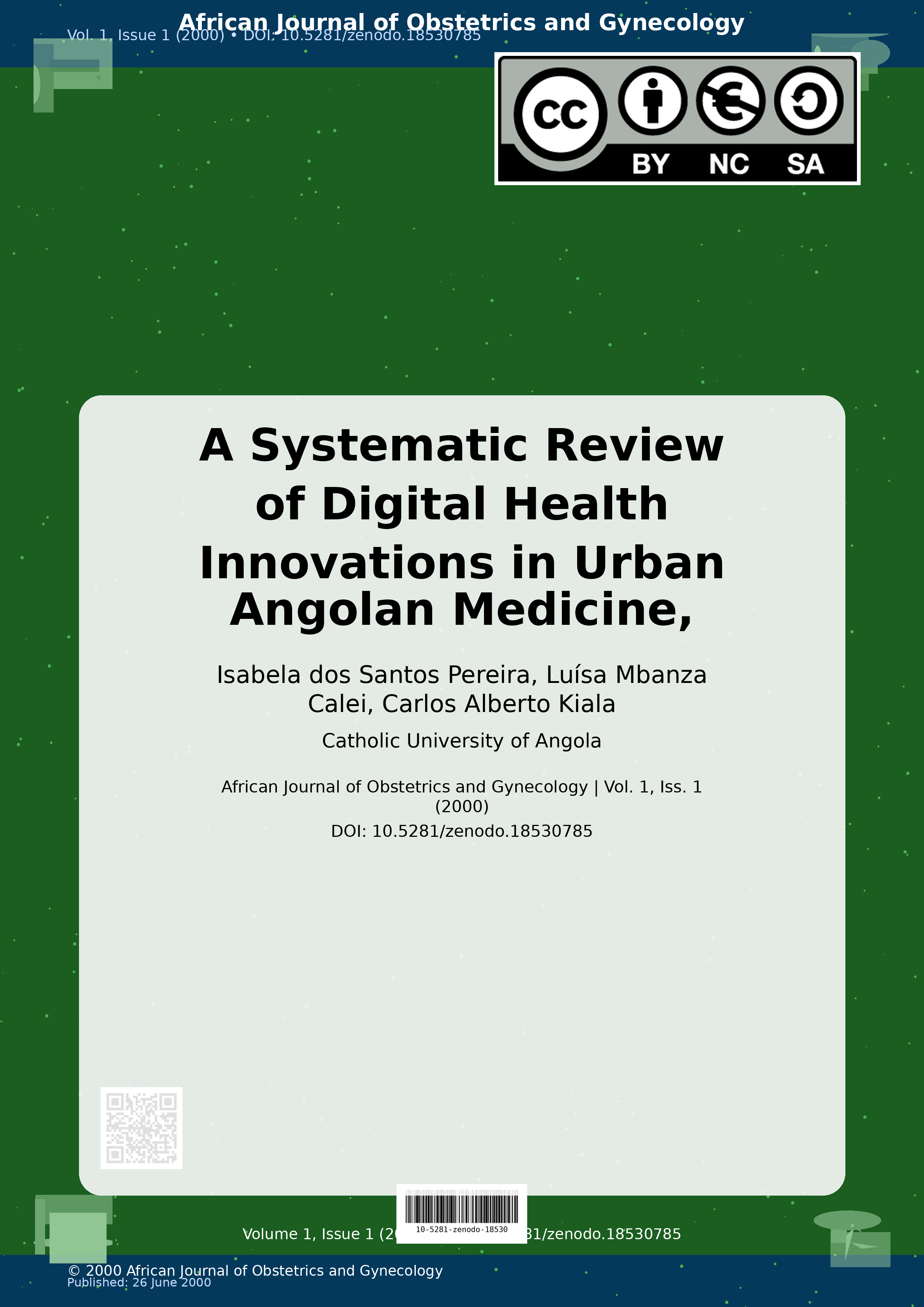 Cover image for: A Systematic Review of Digital Health Innovations in Urban A