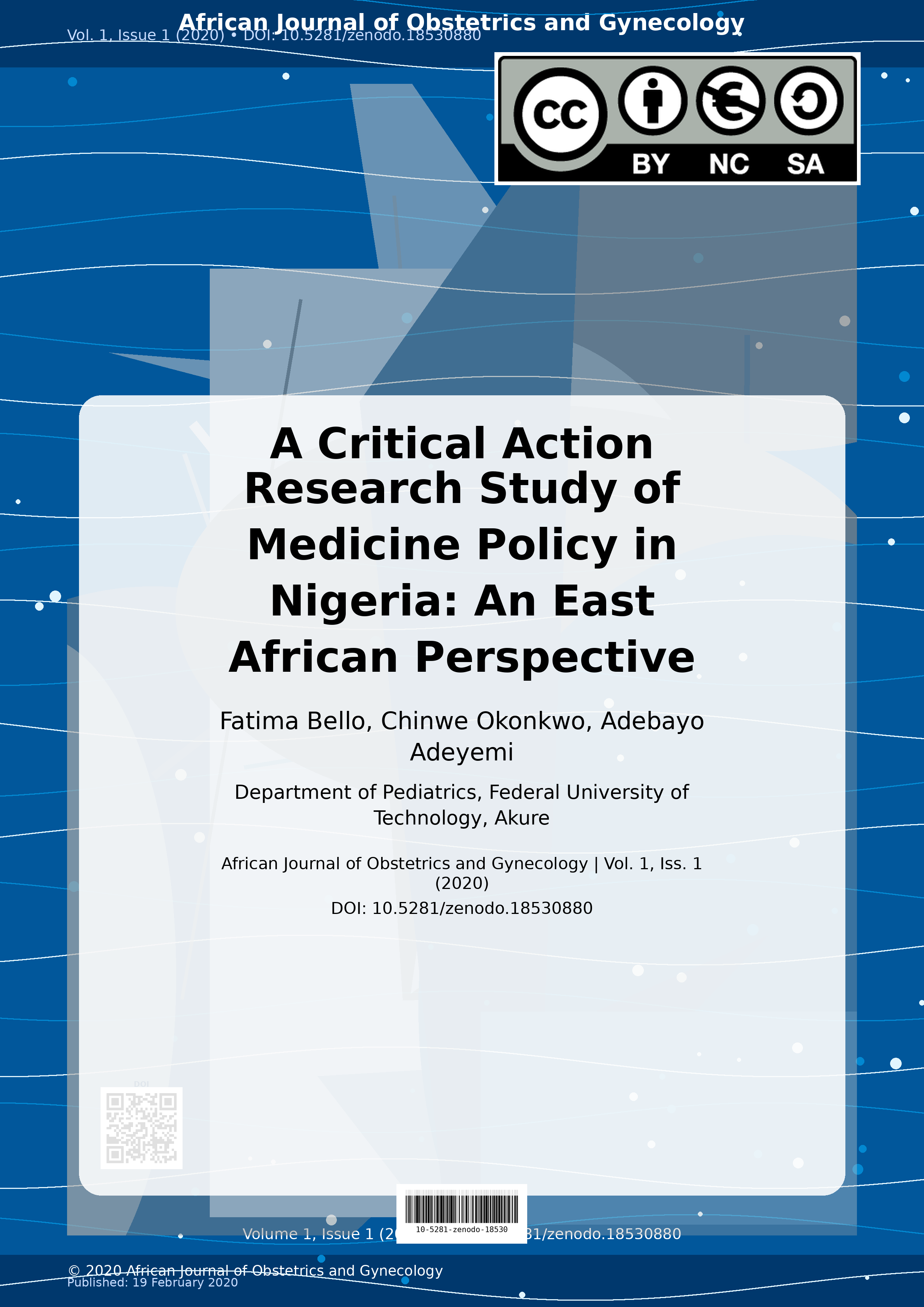 Cover image for: A Critical Action Research Study of Medicine Policy in Niger