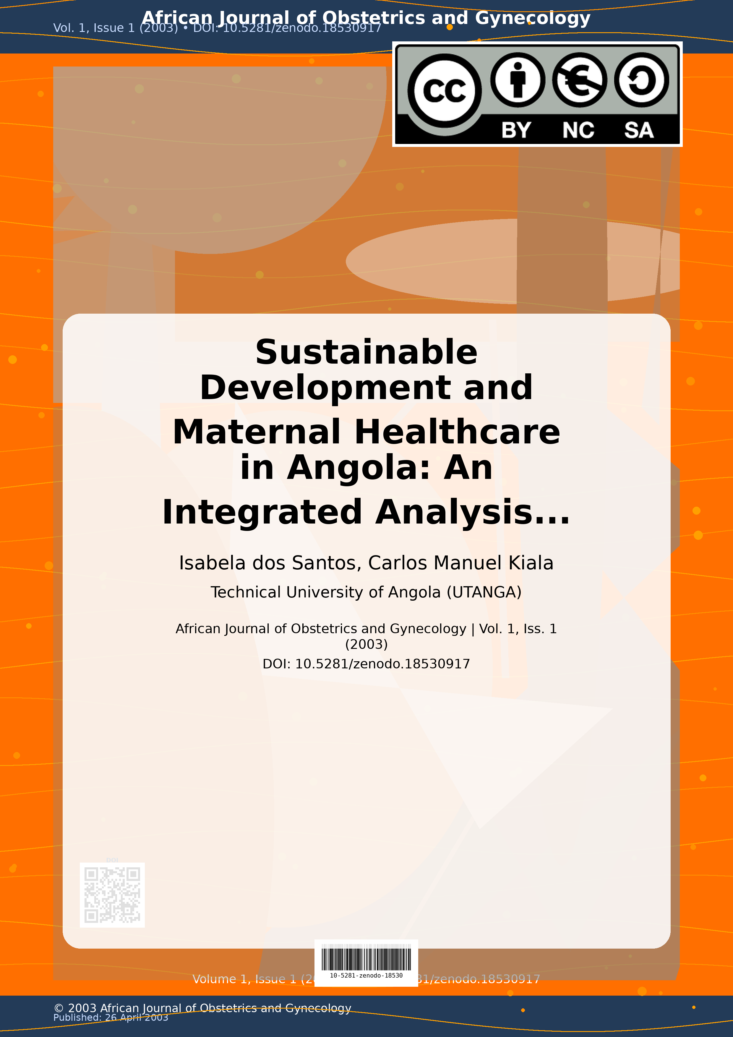 Cover image for: Sustainable Development and Maternal Healthcare in Angola