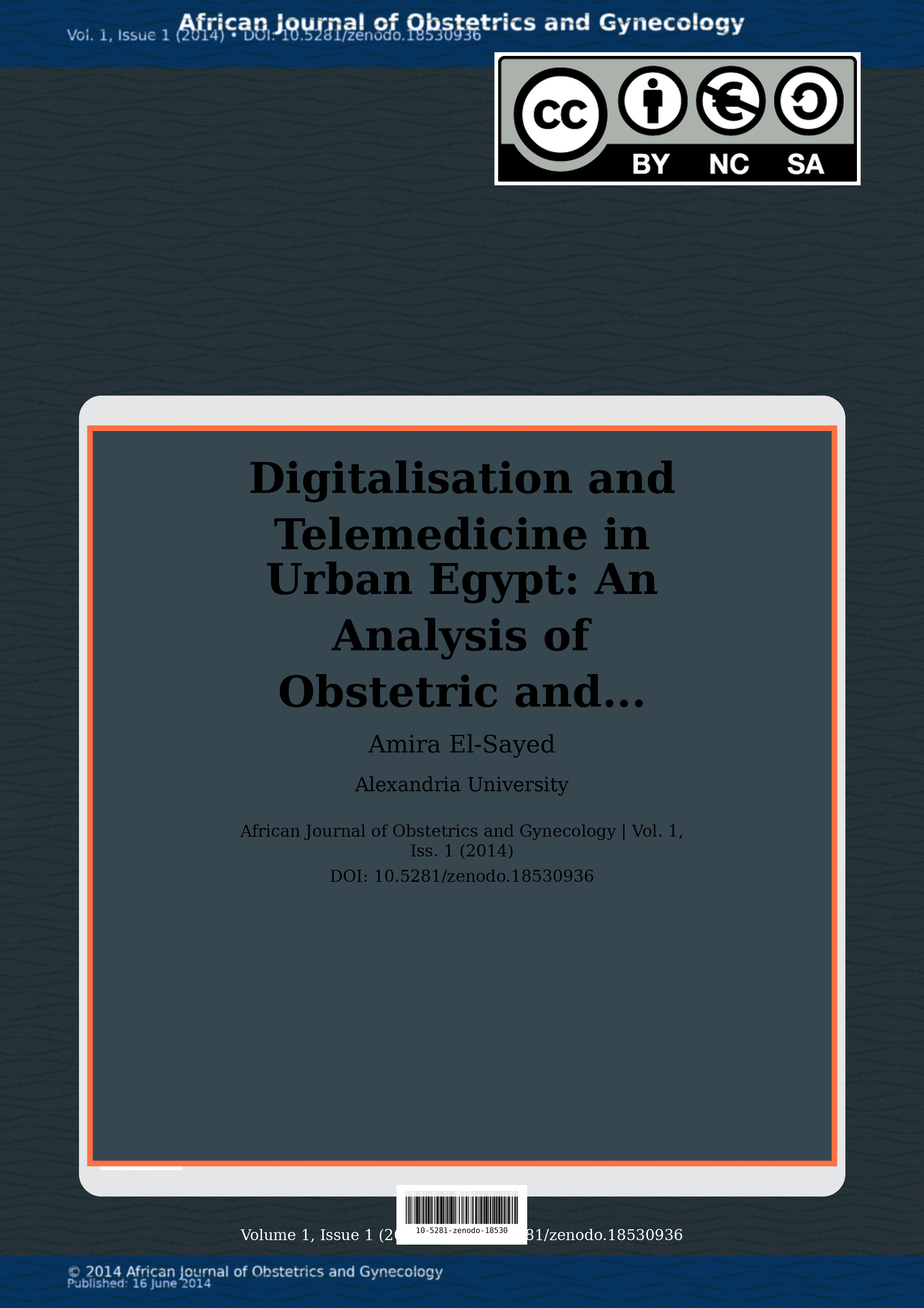 Cover image for: Digitalisation and Telemedicine in Urban Egypt