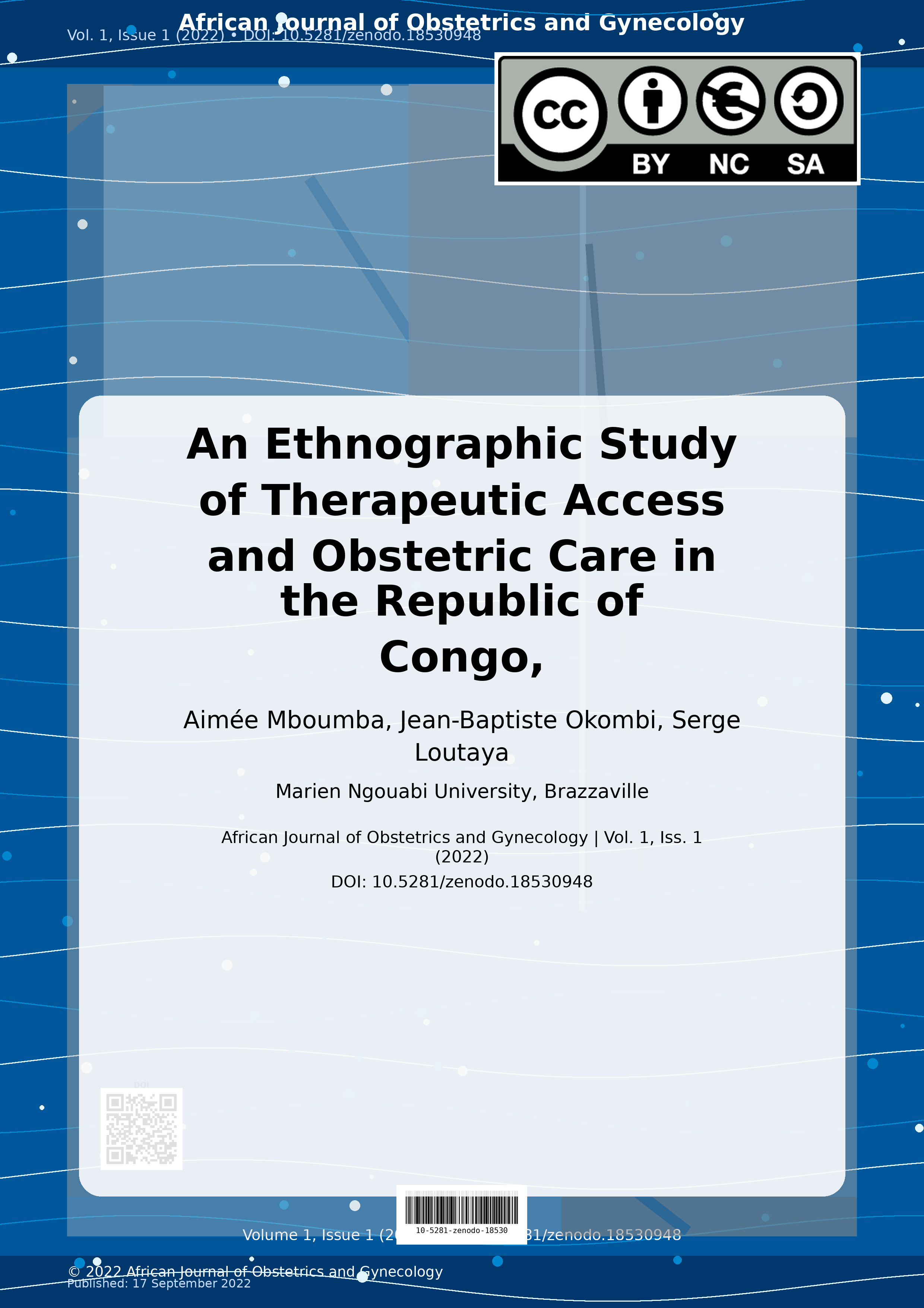 Cover image for: An Ethnographic Study of Therapeutic Access and Obstetric Ca