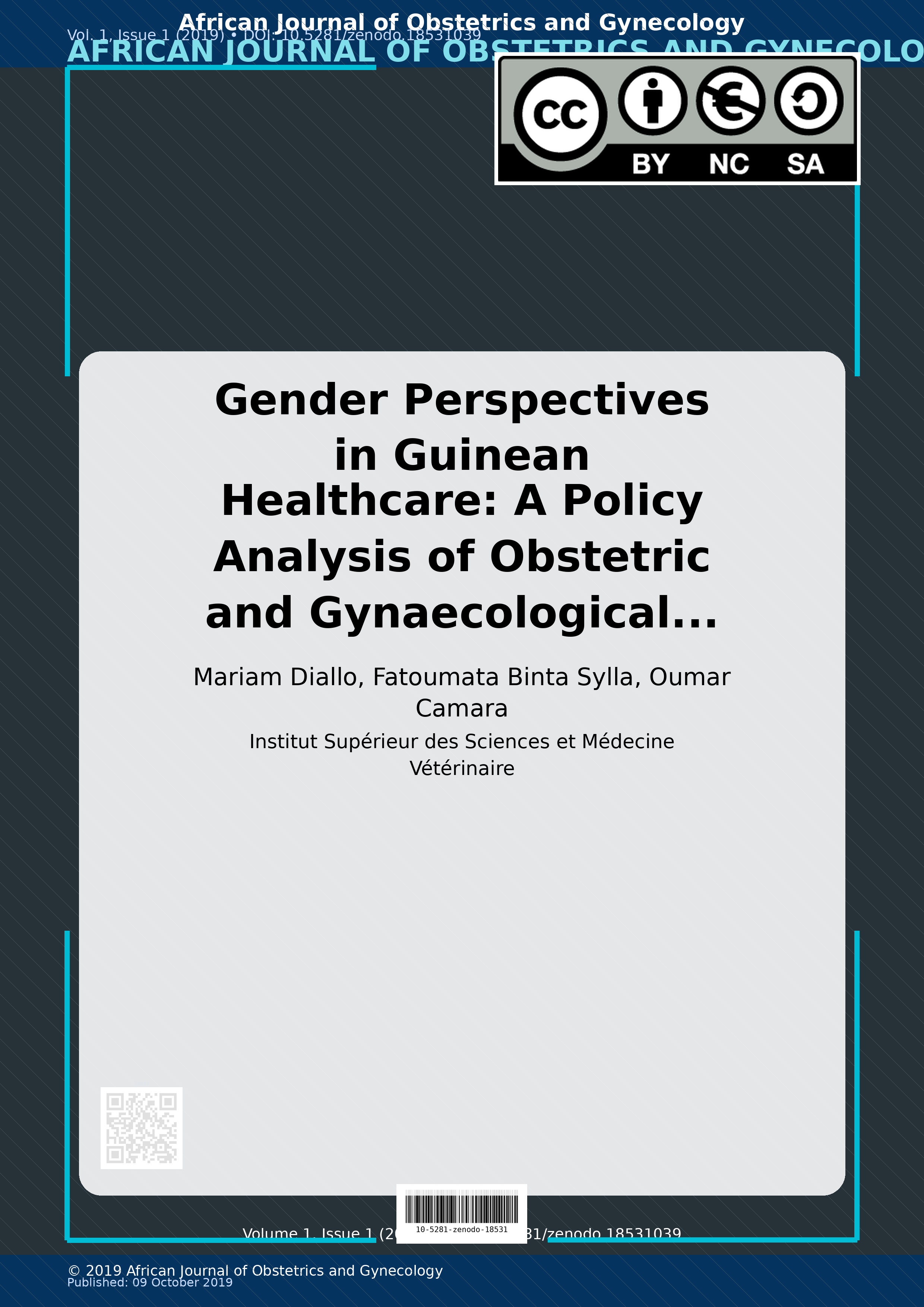 Cover image for: Gender Perspectives in Guinean Healthcare