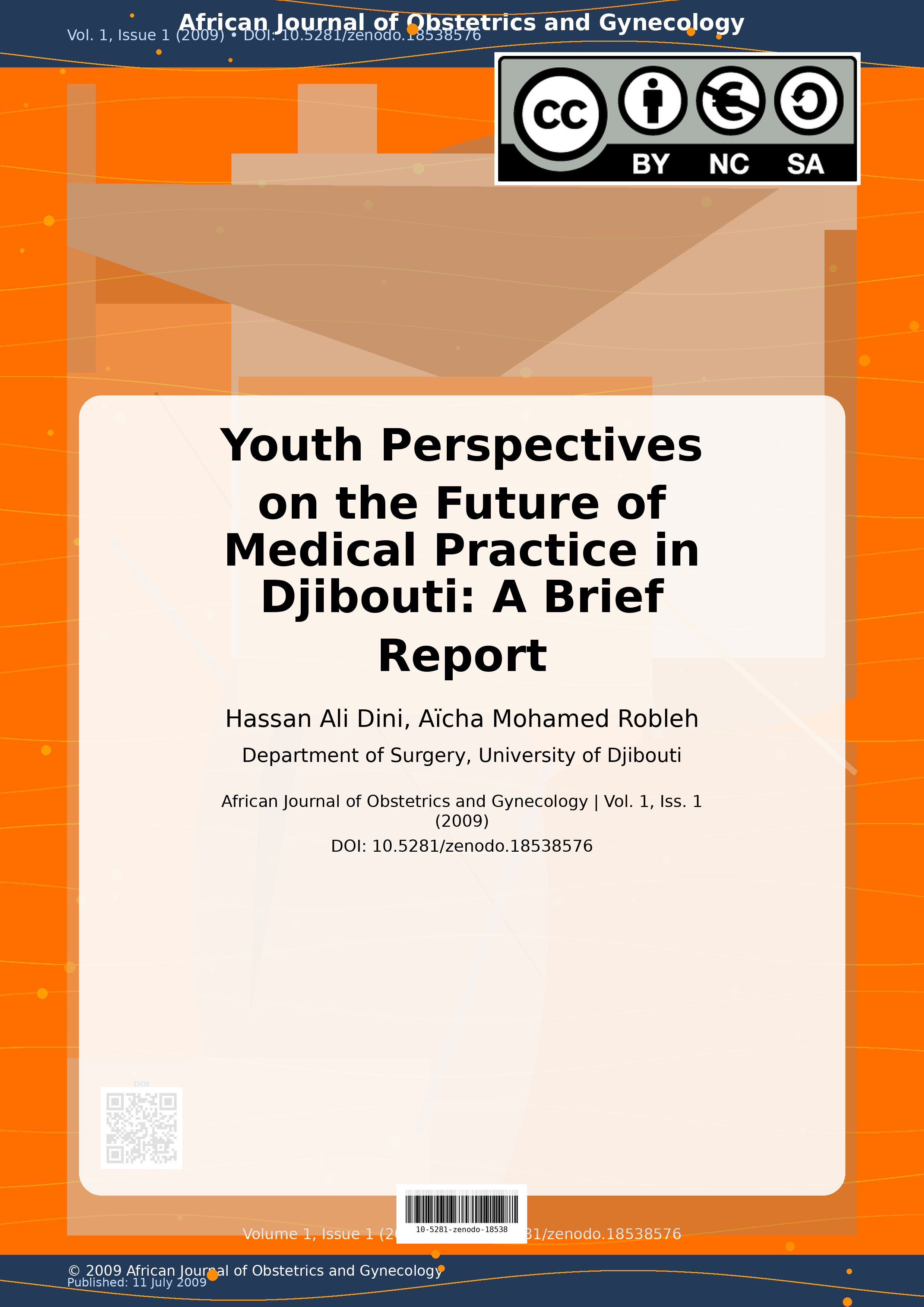 Cover image for: Youth Perspectives on the Future of Medical Practice in Djib