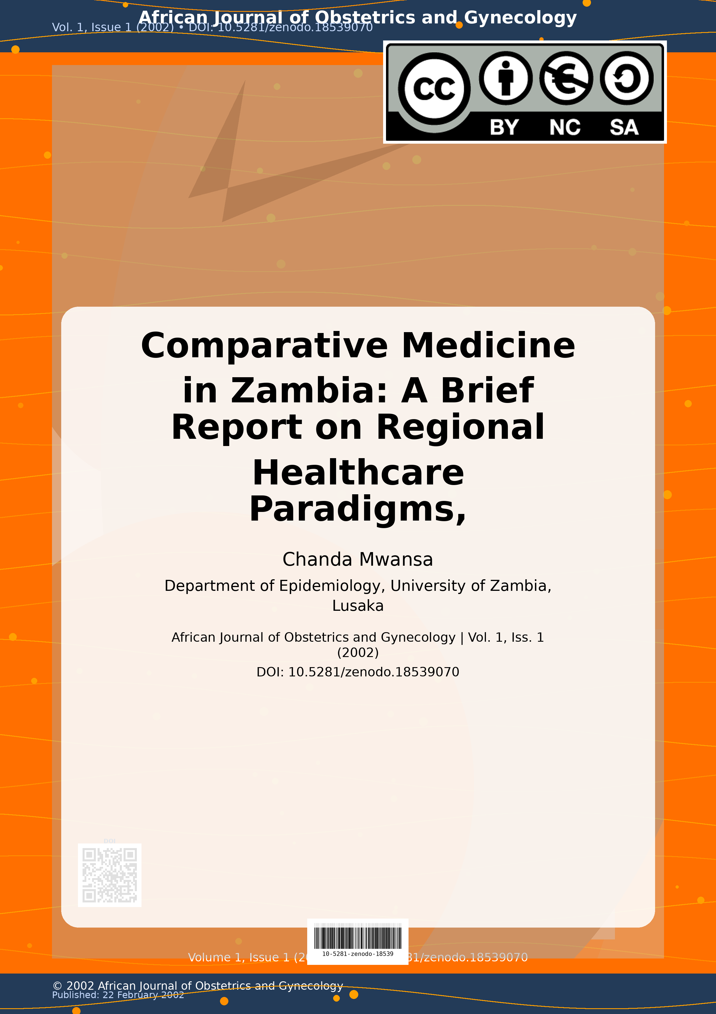 Cover image for: Comparative Medicine in Zambia