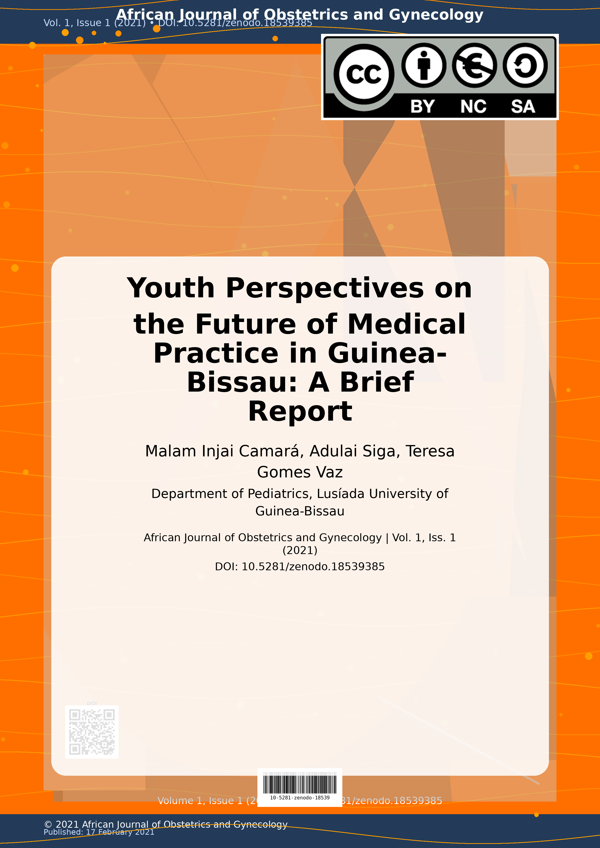Cover image for: Youth Perspectives on the Future of Medical Practice in Guin